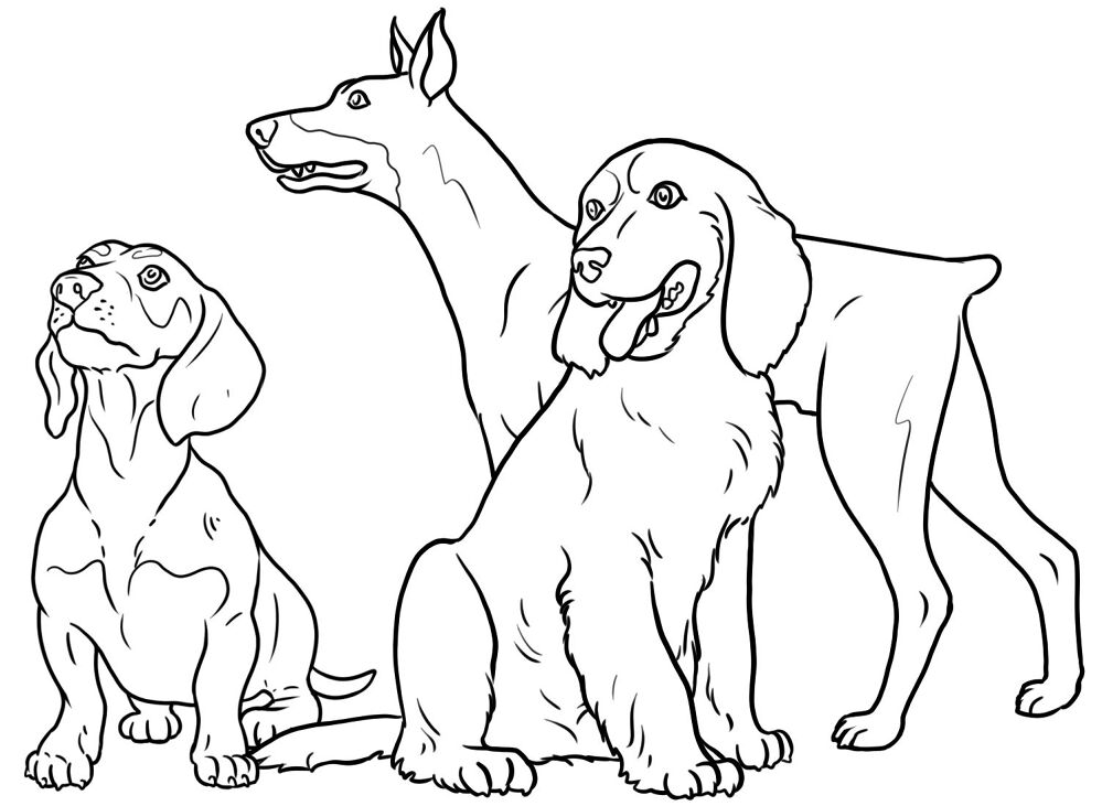 Desenho de Cachorros para colorir