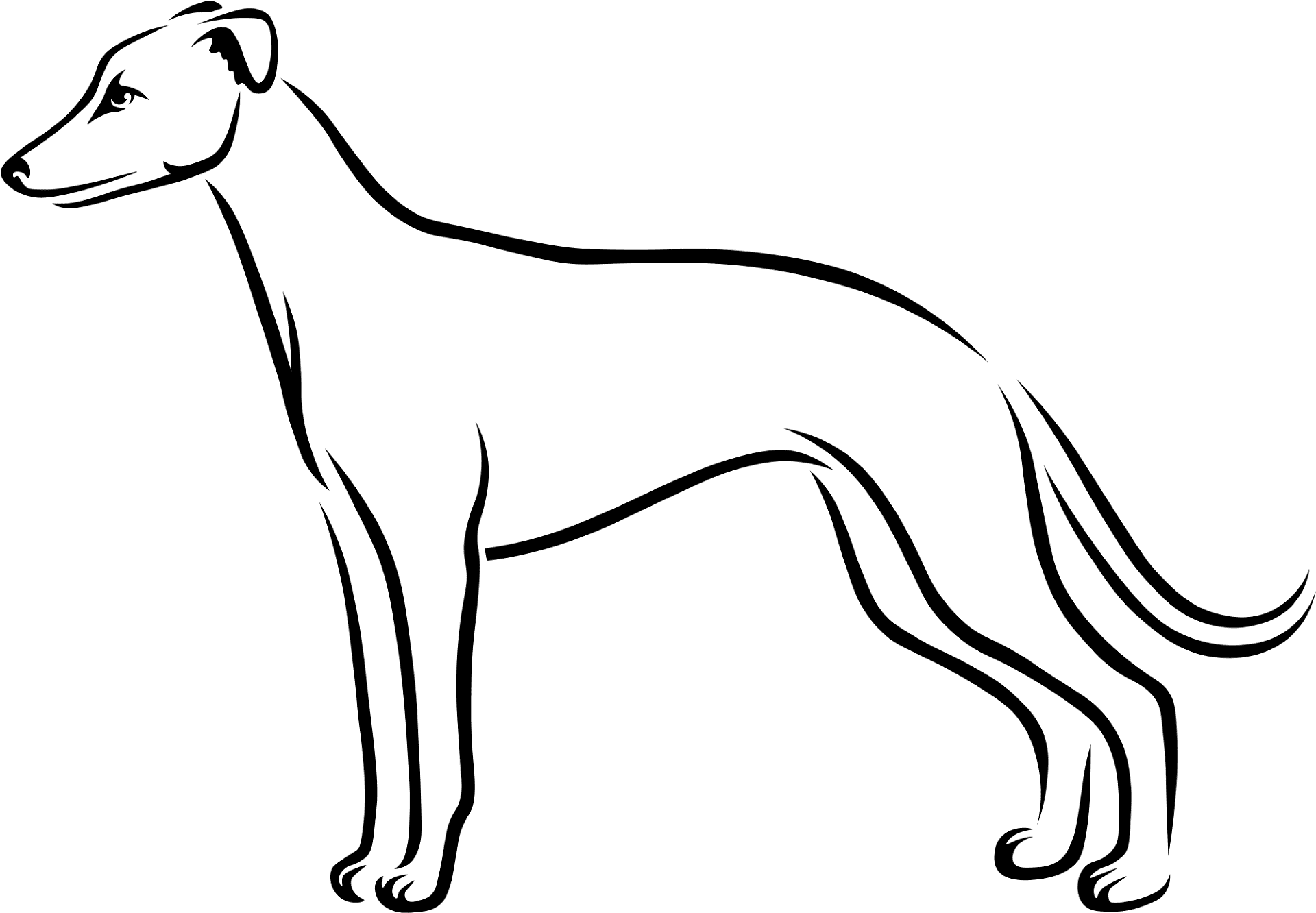 Desenho de Cachorros para colorir