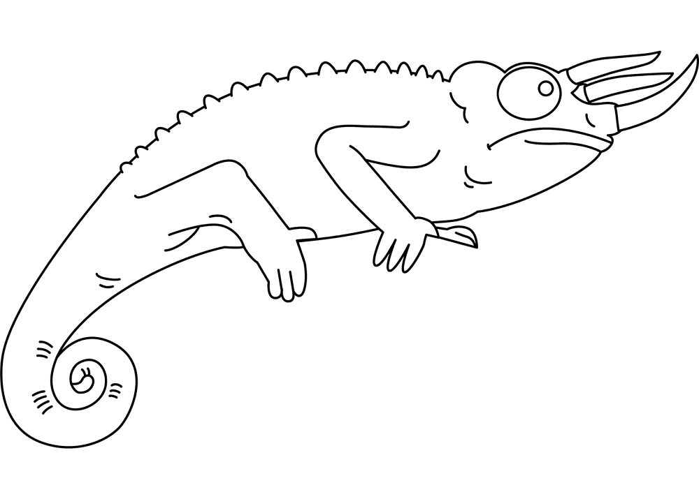 Desenho de Camaleão para colorir e imprimir: número 6