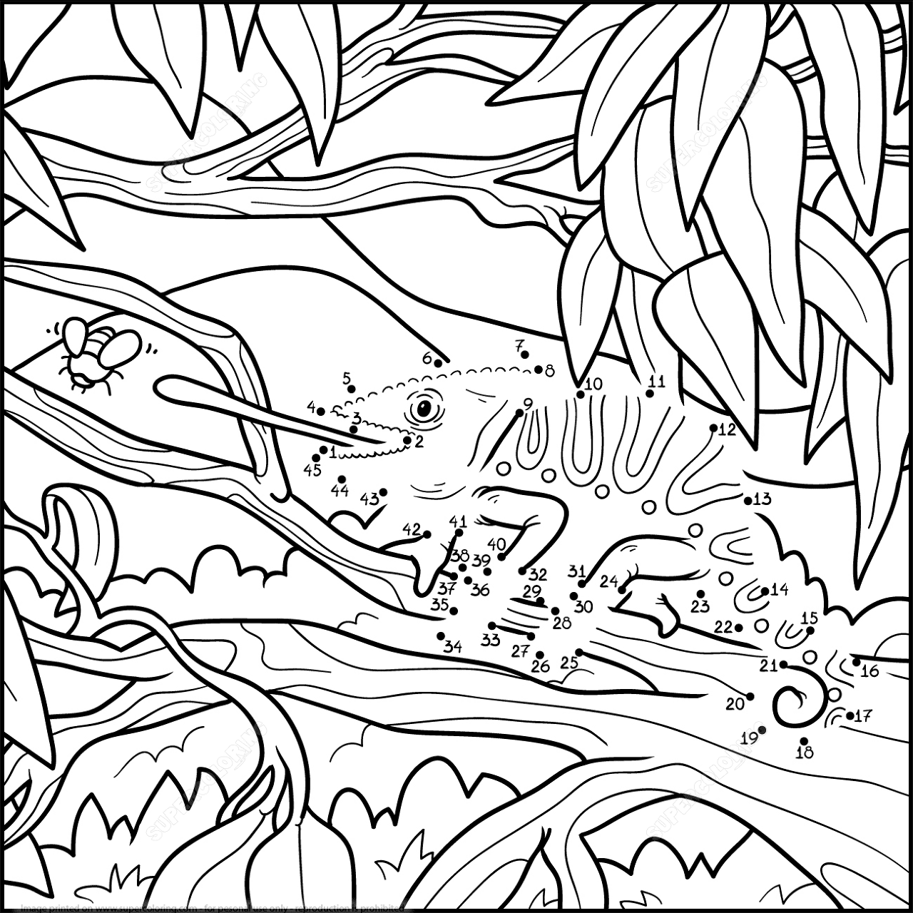Desenho de Camaleão para colorir e imprimir: número 18