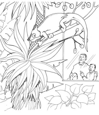 Desenho de Camaleão para colorir e imprimir: número 19
