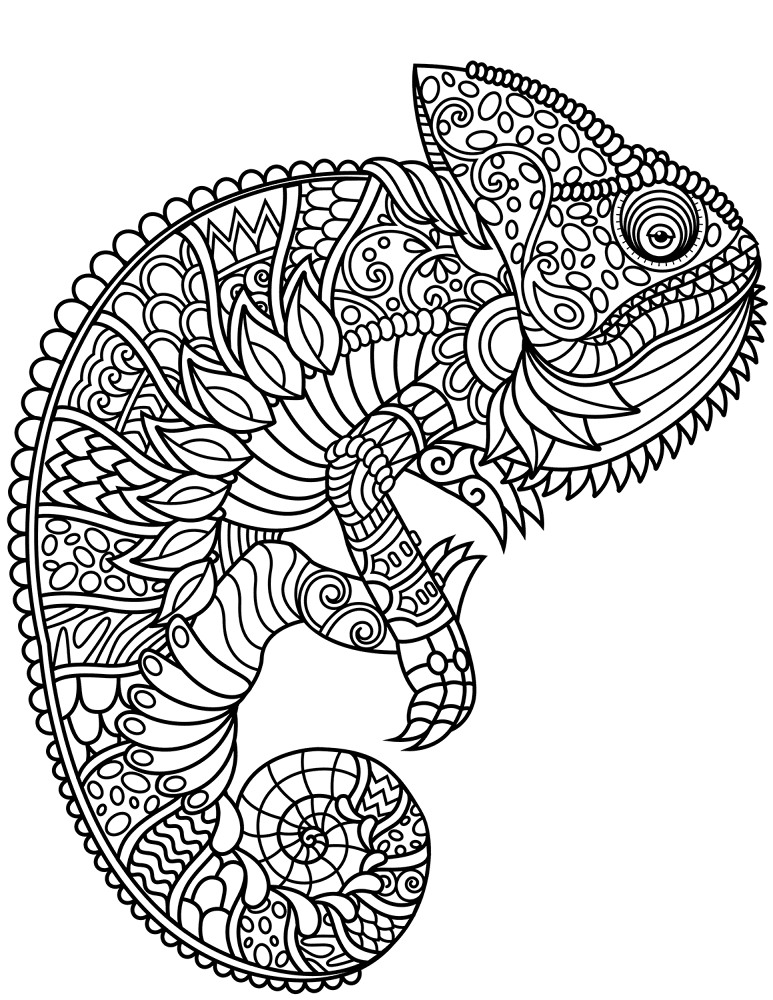 Desenho de Camaleão para colorir e imprimir: número 23
