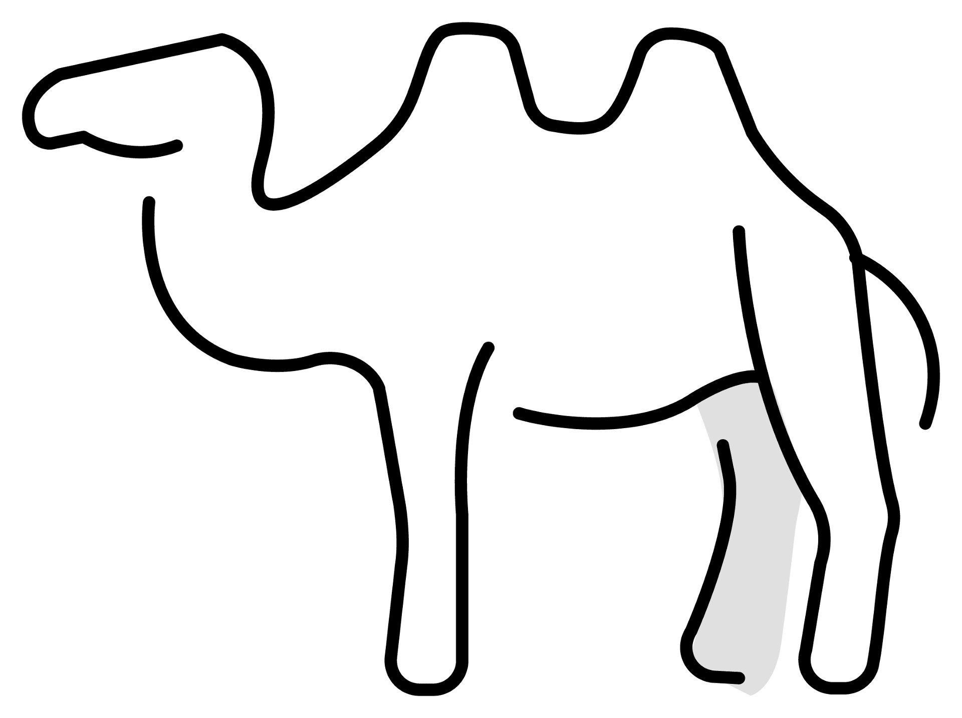 Desenho de Camelos para colorir e imprimir: número 6