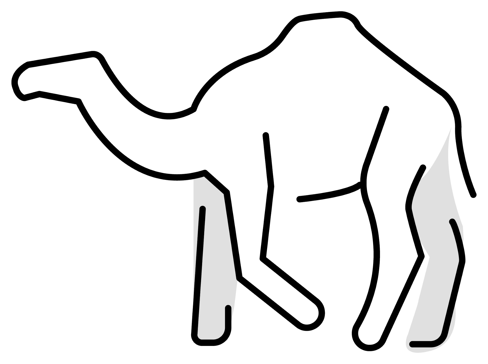 Desenho de Camelos para colorir e imprimir: número 7