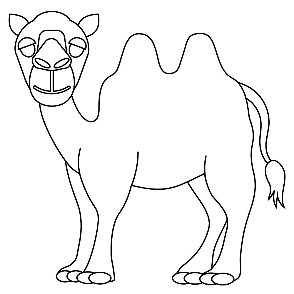 Desenho de Camelos para colorir e imprimir: número 10