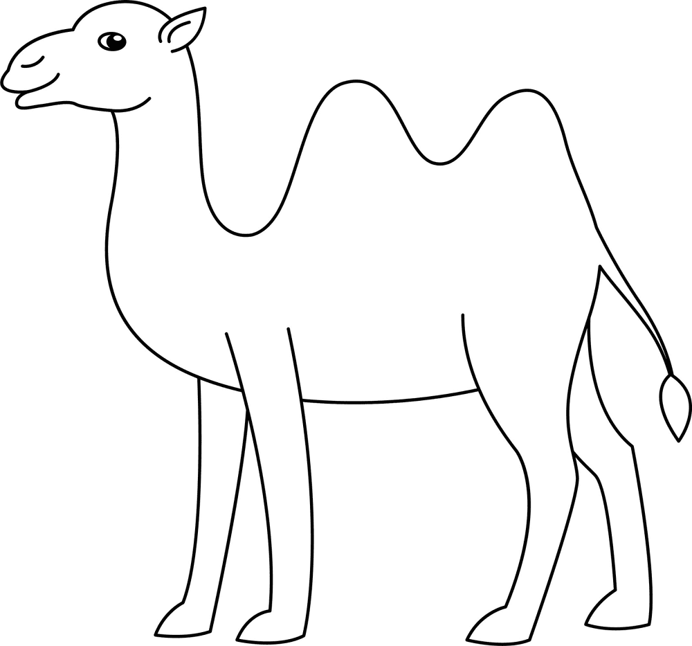 Desenho de Camelos para colorir e imprimir: número 14
