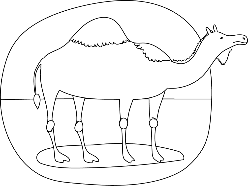 Desenho de Camelos para colorir e imprimir: número 17