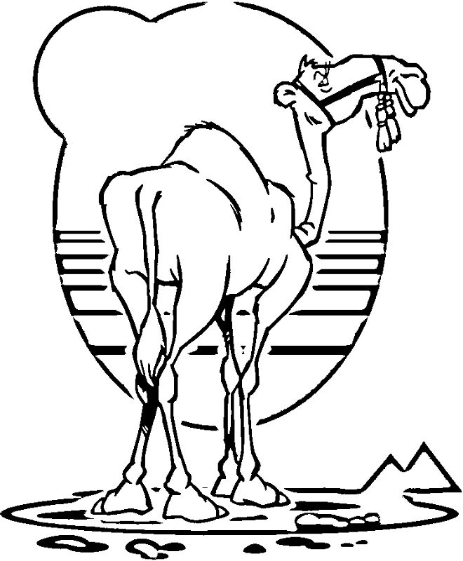 Desenho de Camelos para colorir e imprimir: número 22