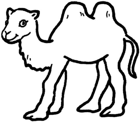 Desenho de Camelos para colorir e imprimir: número 45
