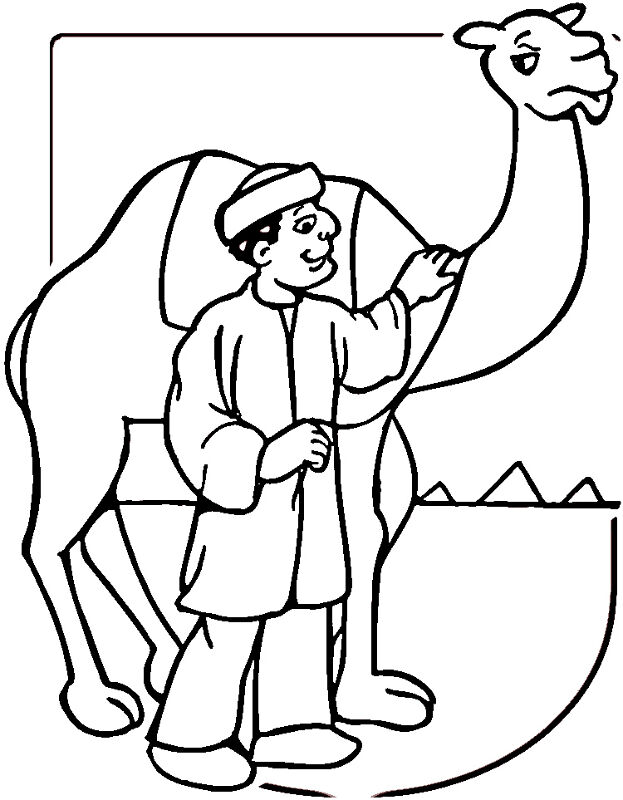 Desenho de Camelos para colorir