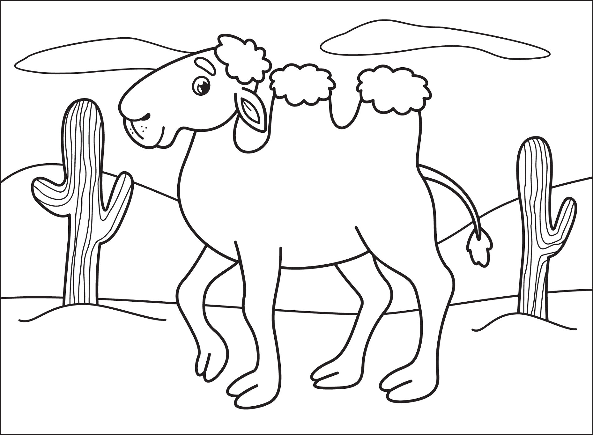 Desenho de Camelos para colorir