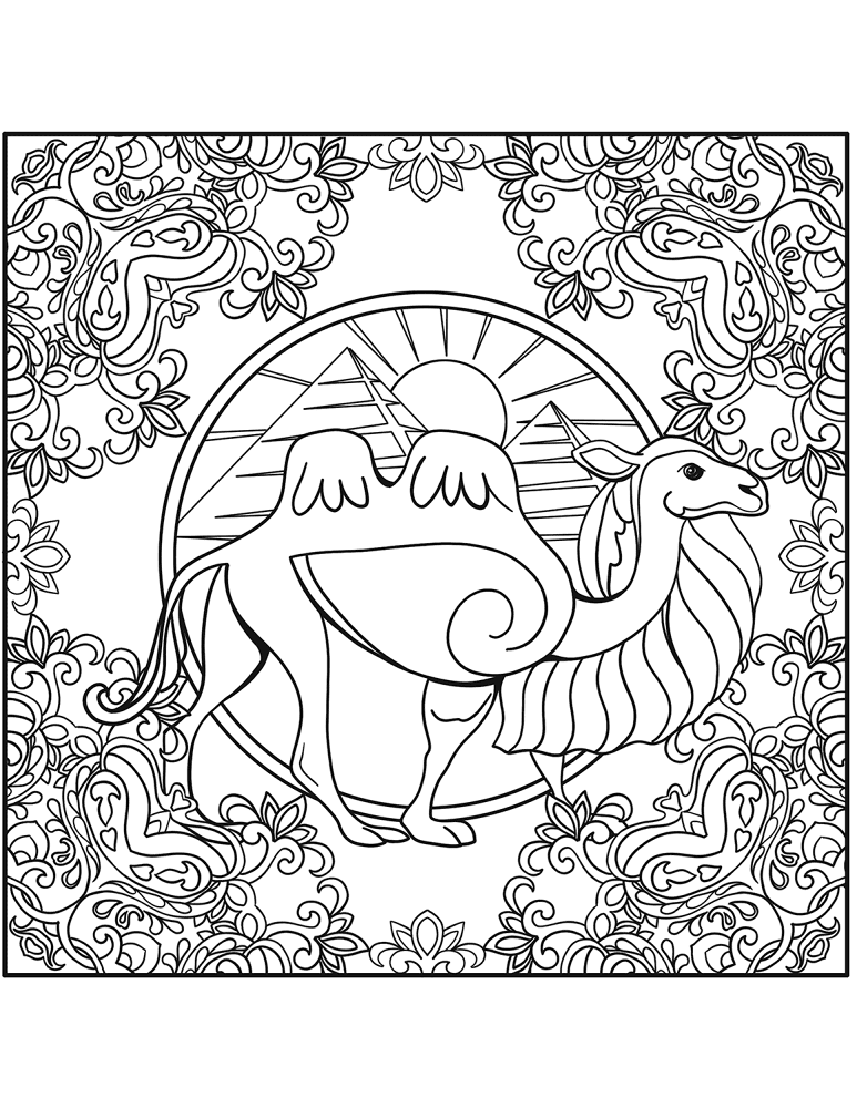 Desenho de Camelos para colorir