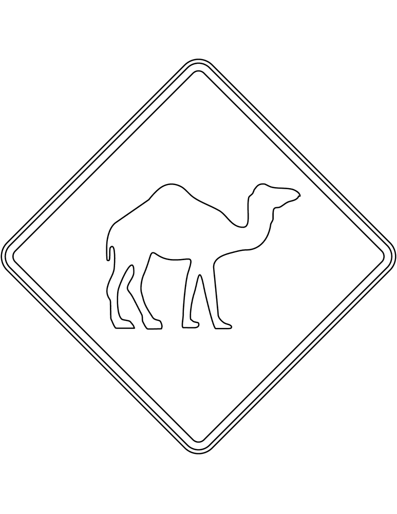 Desenho de Camelos para colorir