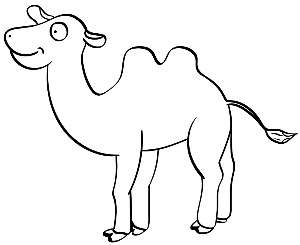 Desenho de Camelos para colorir