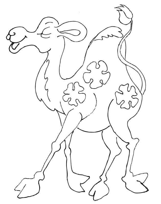 Desenho de Camelos para colorir