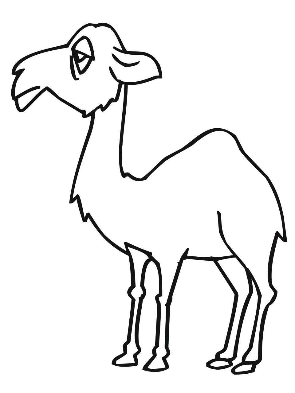 Desenho de Camelos para colorir