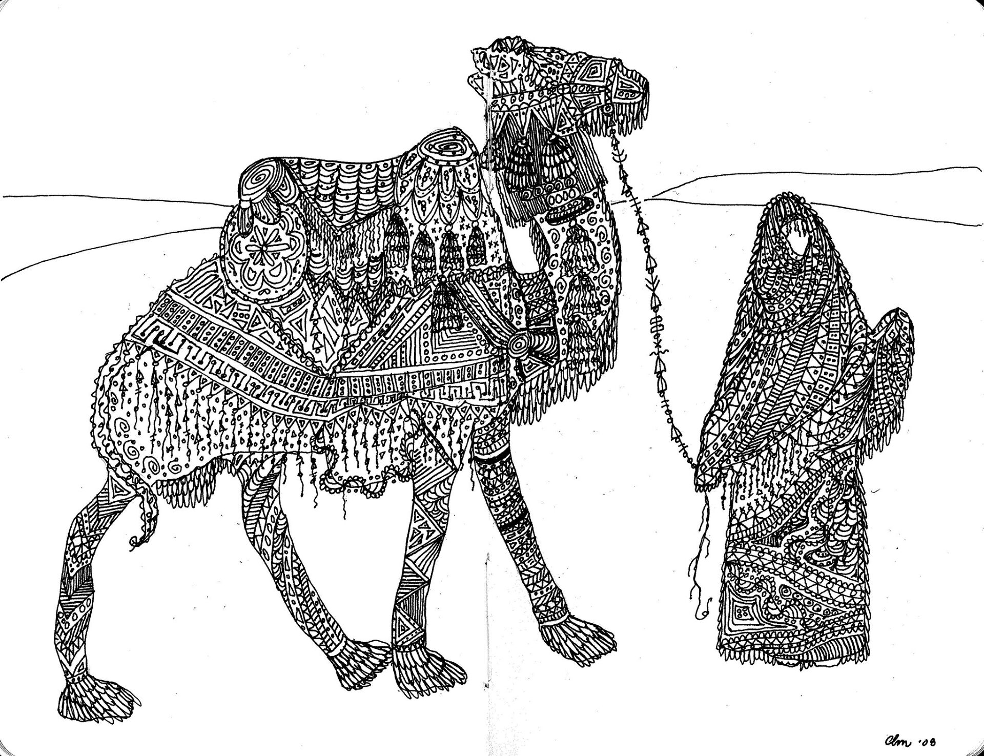 Desenho de Camelos para colorir