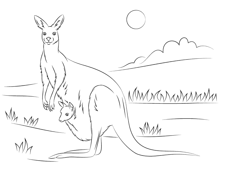 Desenho de Cangurus para colorir e imprimir: número 23