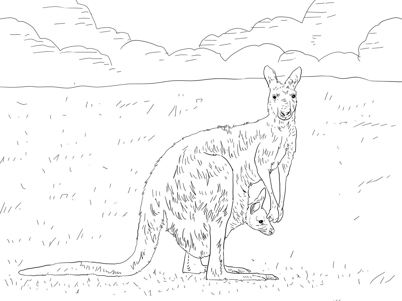 Desenho de Cangurus para colorir e imprimir: número 26