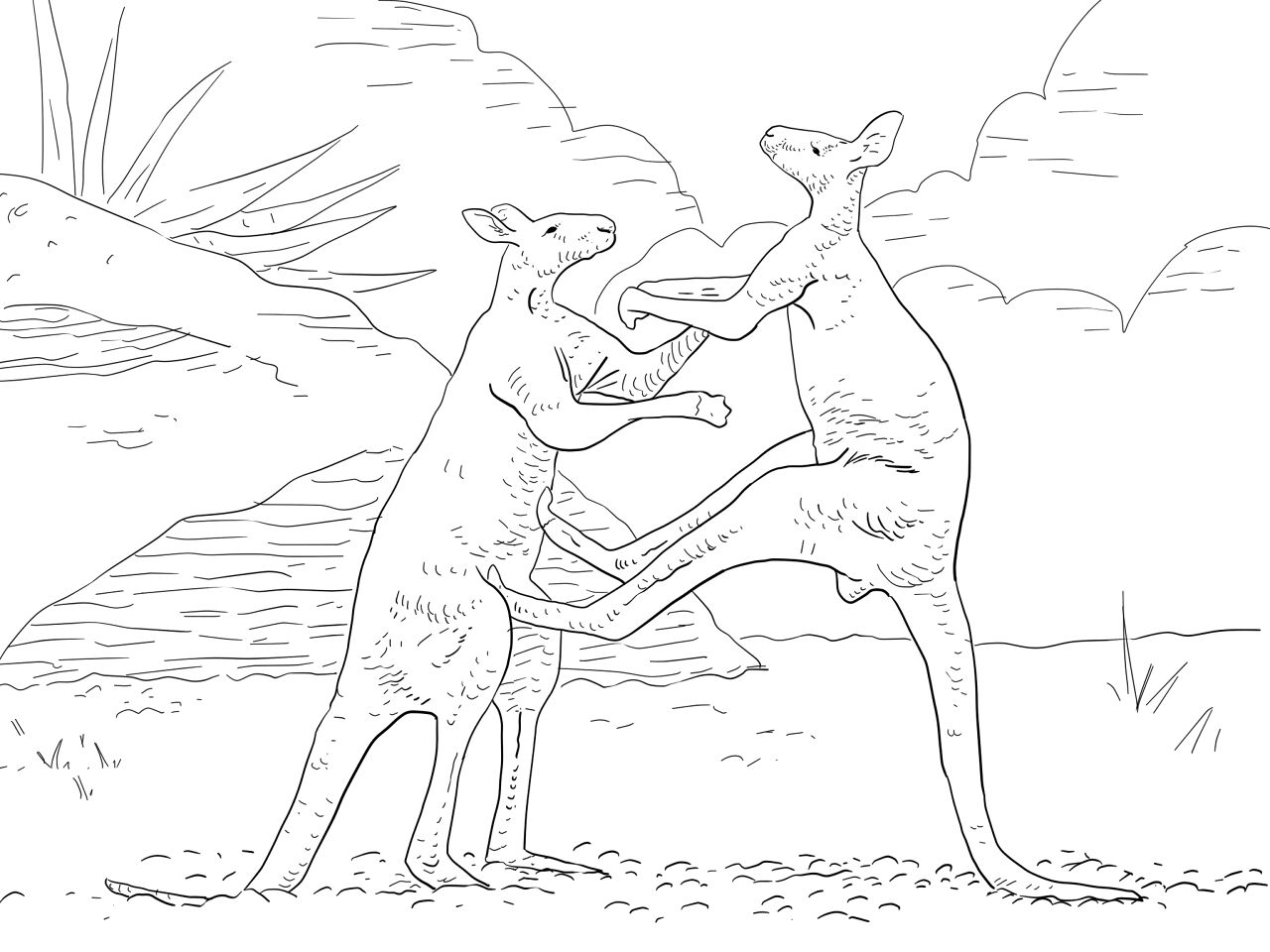 Desenho de Cangurus para colorir e imprimir: número 27