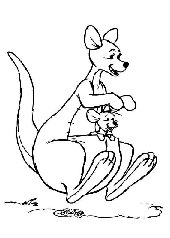 Desenho de Cangurus para colorir e imprimir: número 29