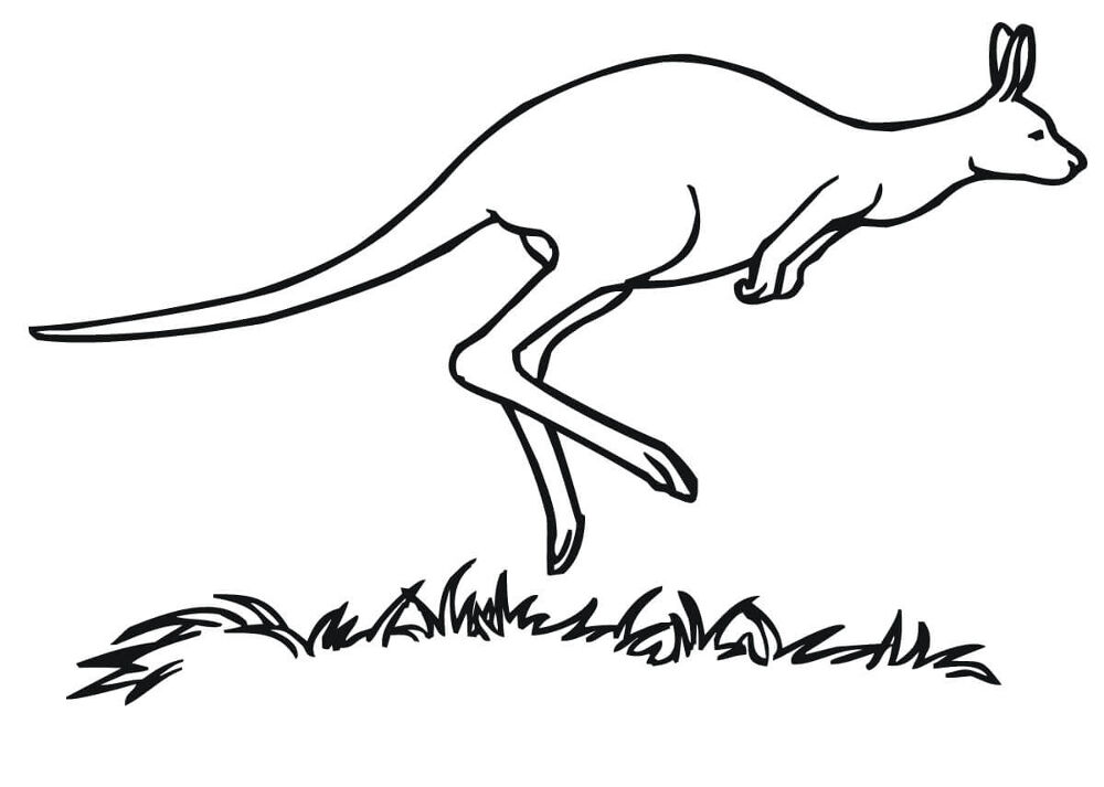 Desenho de Cangurus para colorir e imprimir: número 40