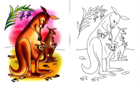 Desenho de Cangurus para colorir e imprimir: número 43