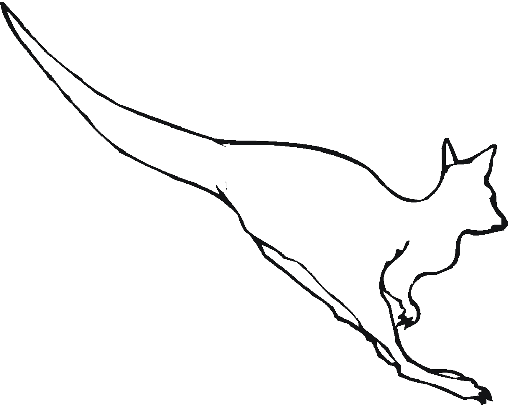 Desenho de Cangurus para colorir e imprimir: número 46