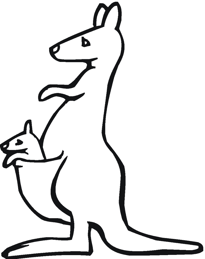 Desenho de Cangurus para colorir