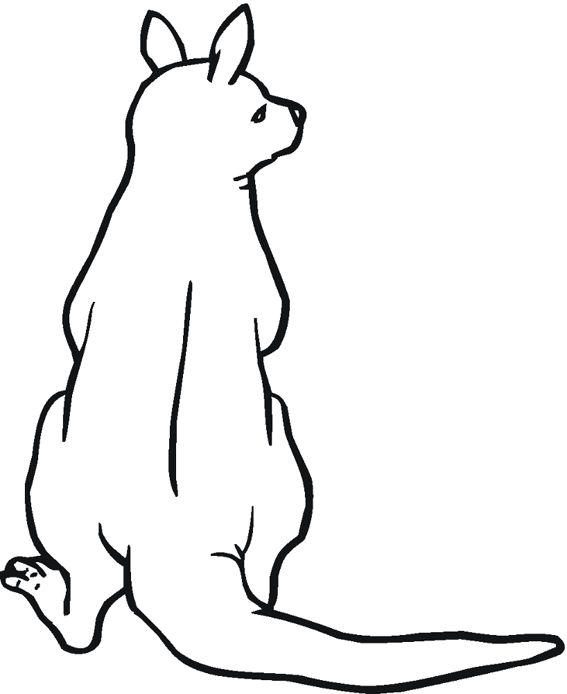 Desenho de Cangurus para colorir