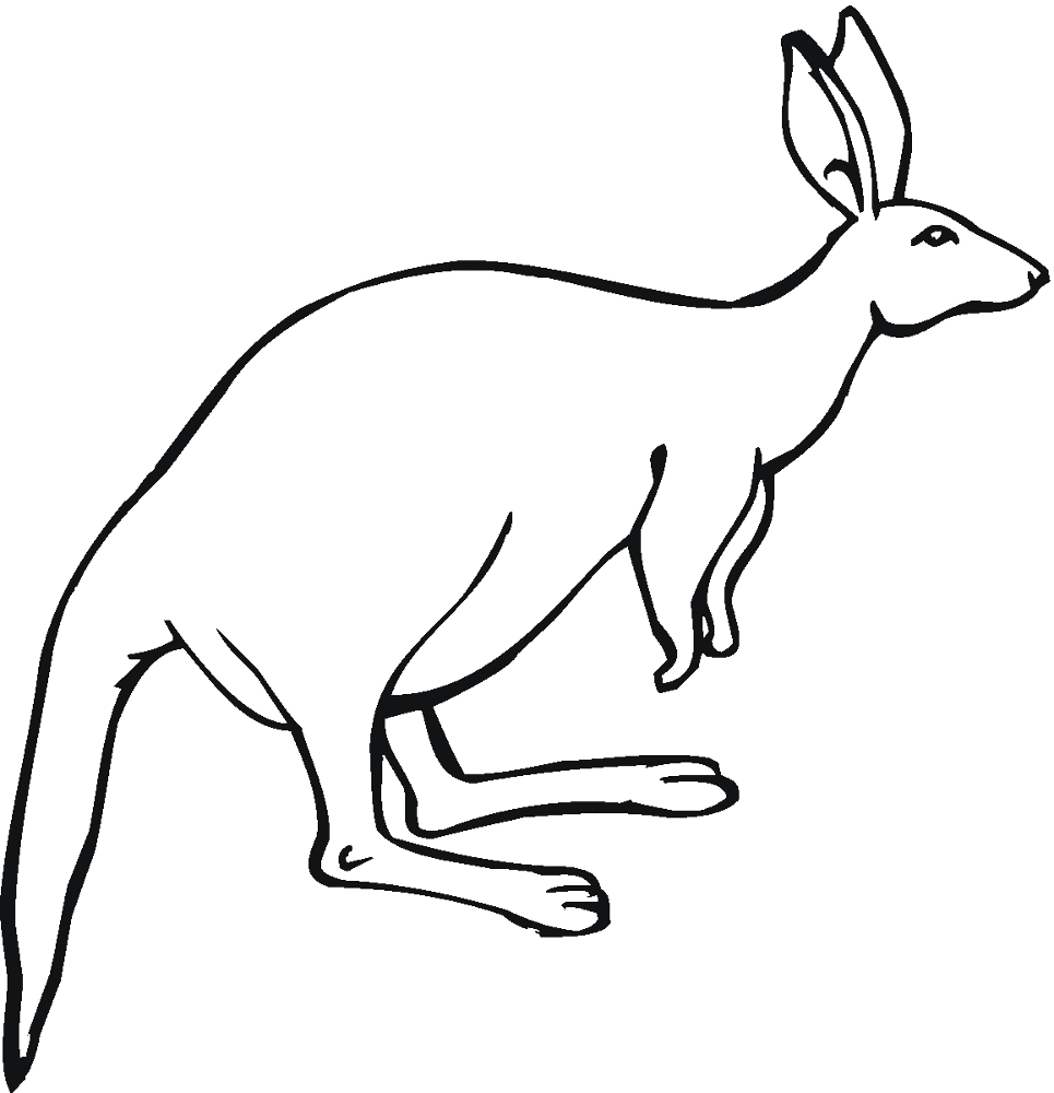 Desenho de Cangurus para colorir