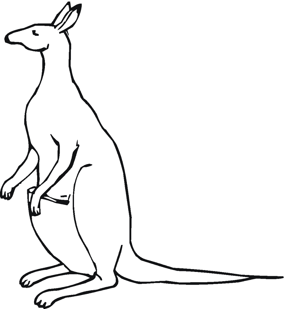 Desenho de Cangurus para colorir