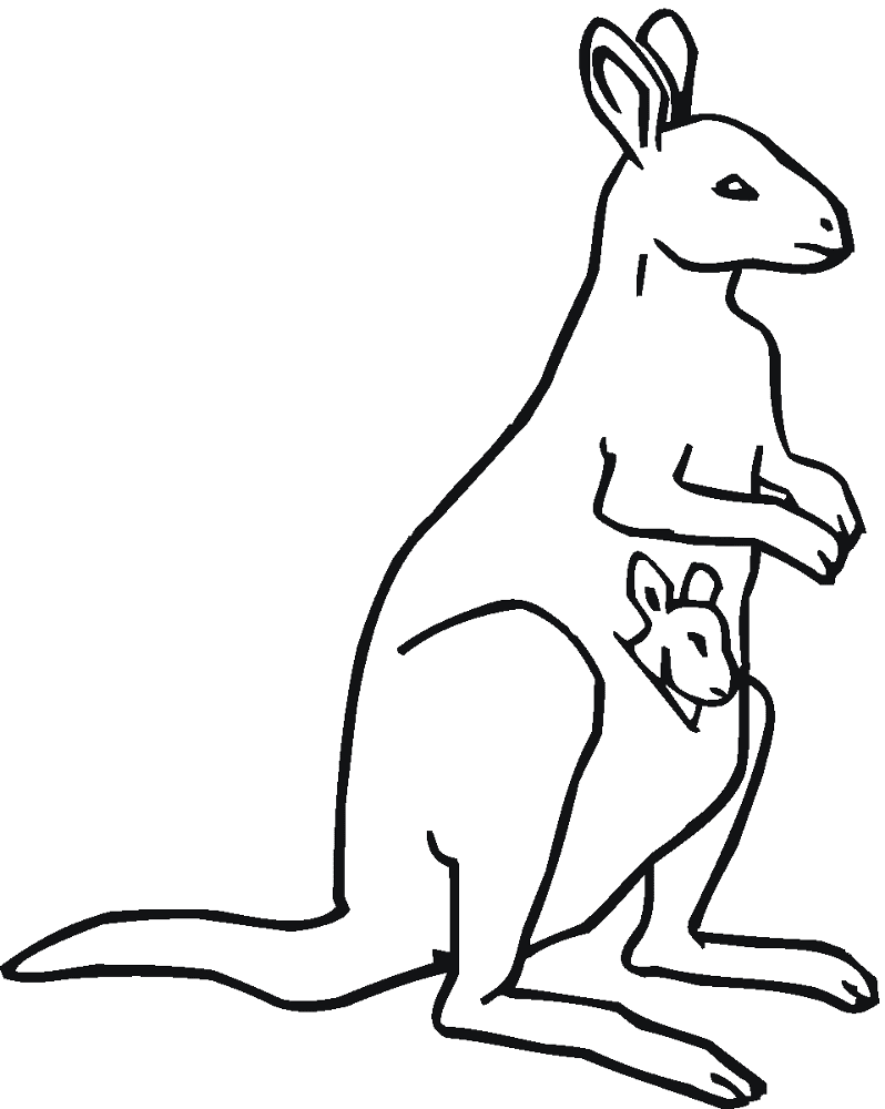 Desenho de Cangurus para colorir