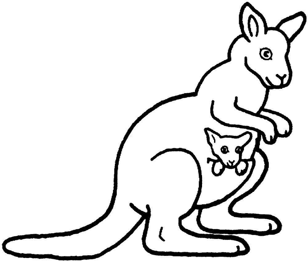 Desenho de Cangurus para colorir