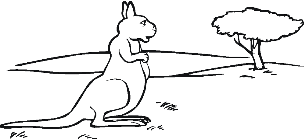 Desenho de Cangurus para colorir