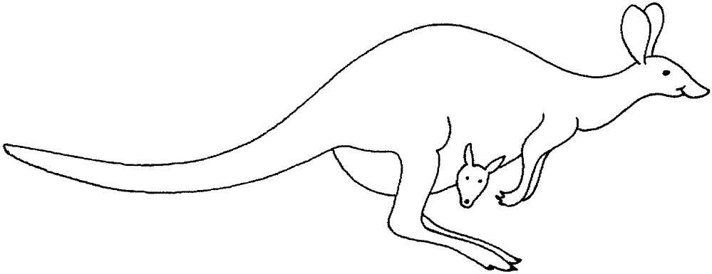 Desenho de Cangurus para colorir