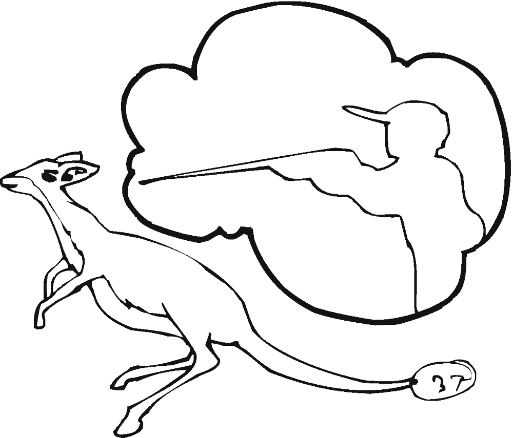 Desenho de Cangurus para colorir