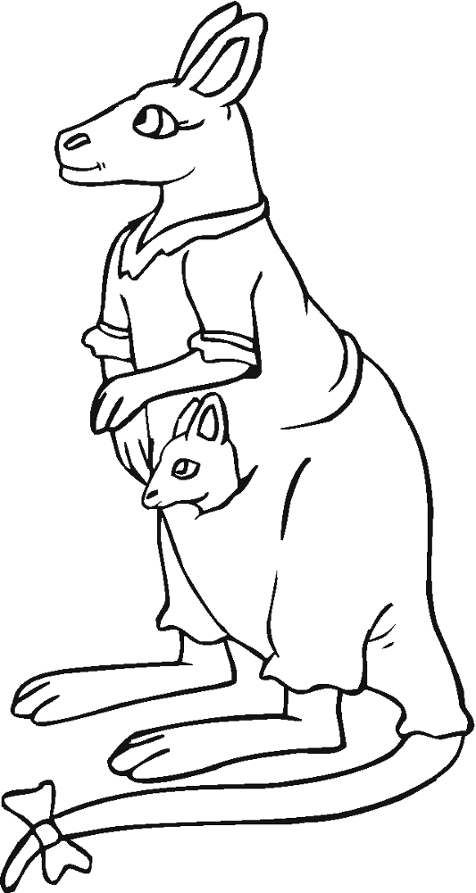 Desenho de Cangurus para colorir