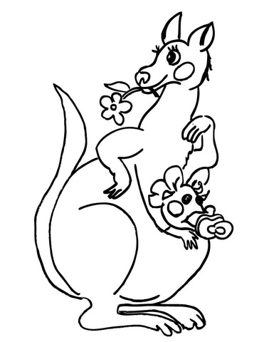 Desenho de Cangurus para colorir