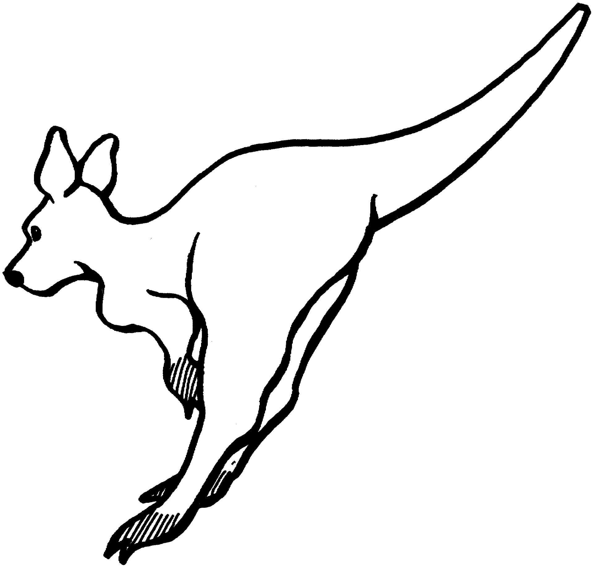 Desenho de Cangurus para colorir