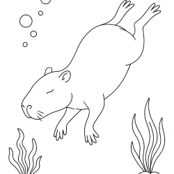 Desenho de Capivara para colorir e imprimir: número 8