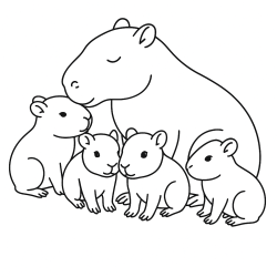 Desenho de Capivara para colorir e imprimir: número 10