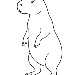 Desenho de Capivara para colorir e imprimir: número 11