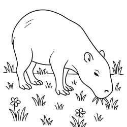 Desenho de Capivara para colorir e imprimir: número 12