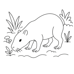 Desenho de Capivara para colorir e imprimir: número 15