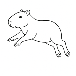 Desenho de Capivara para colorir e imprimir: número 16