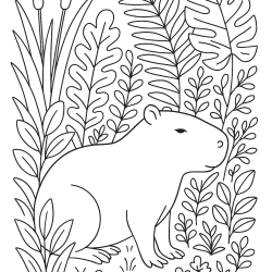 Desenho de Capivara para colorir e imprimir: número 20