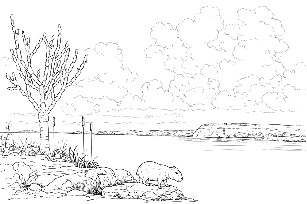 Desenho de Capivara para colorir e imprimir: número 25