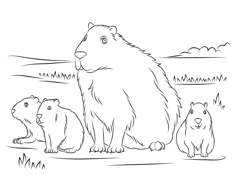 Desenho de Capivara para colorir e imprimir: número 31