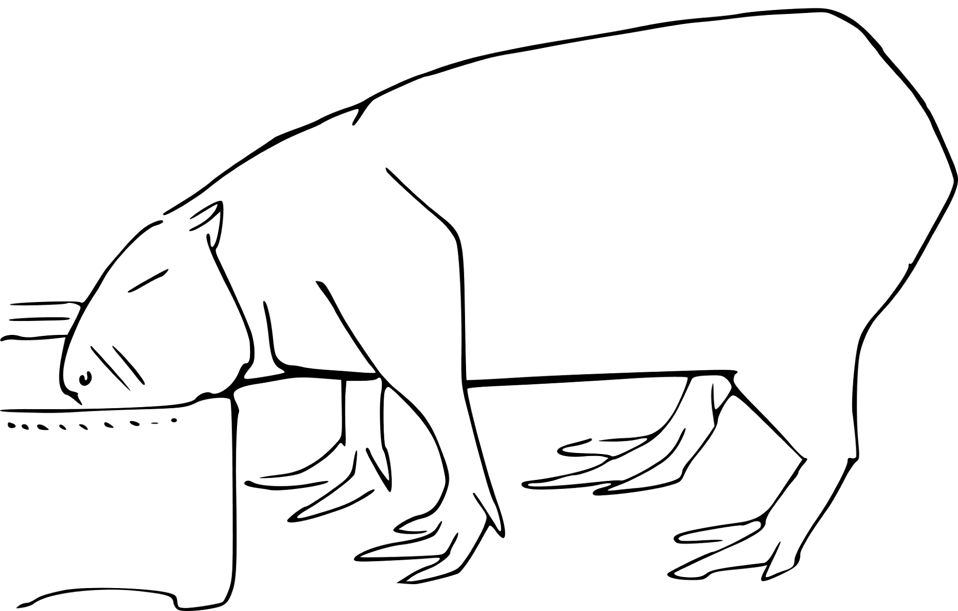 Desenho de Capivara para colorir e imprimir: número 32